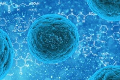 La ciencia de la celula