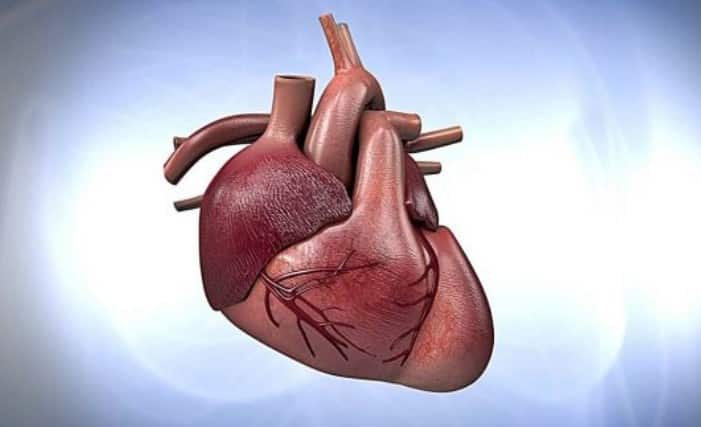 cardiologia pediátrica