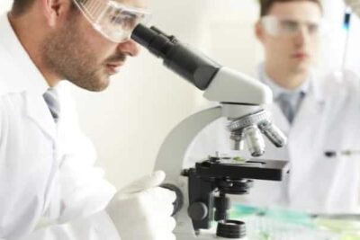 anatomia microscopica