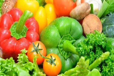 semillas de hortalizas