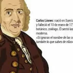 Taxonomía de Linneo