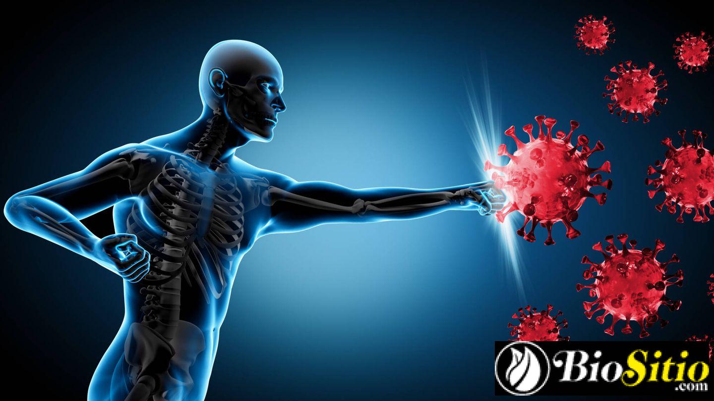 Enfermedad De Bruton