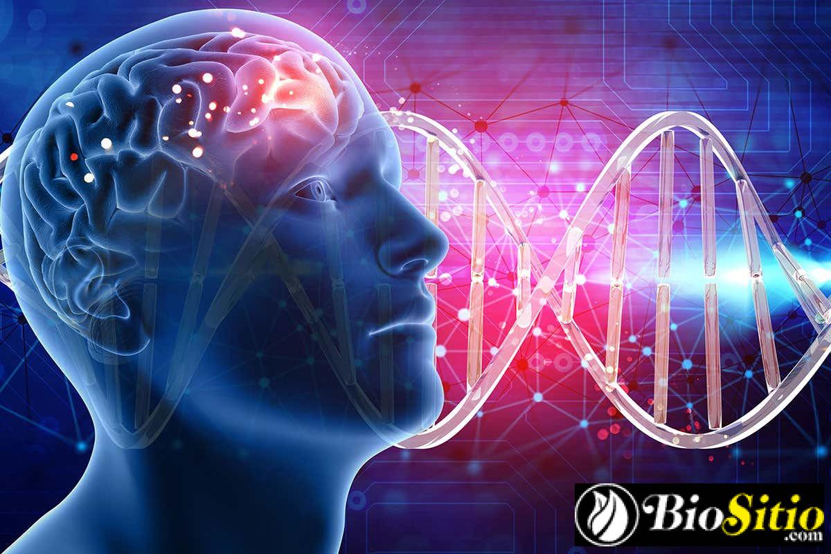 Enfermedad De Tay-Sachs