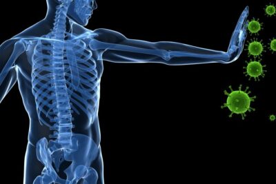 Inmunología Evolutiva