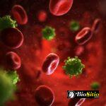 Síndrome De Inmunodeficiencia Adquirida (SIDA)
