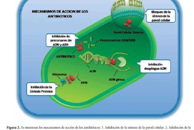 Fisiología Microbiana