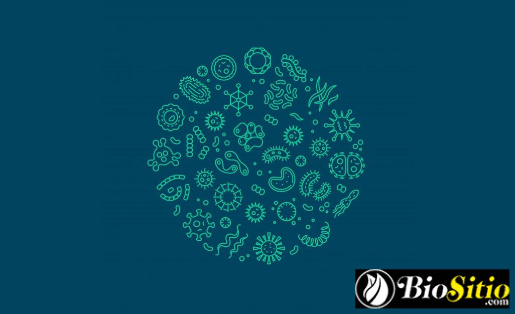 Microbiología Industrial