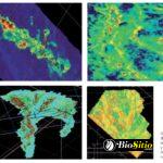 Micropaleontología