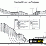 Micropaleontología