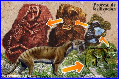 Paleoclimatología Y Micropaleontología
